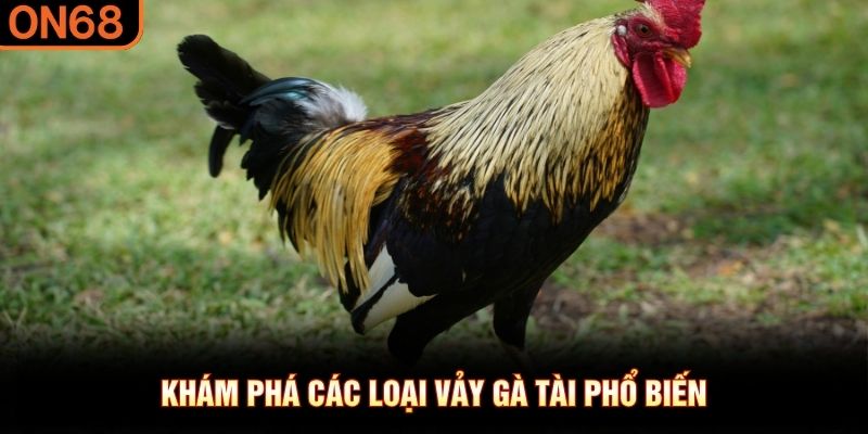 Kh&aacute;m ph&aacute; c&aacute;c loại vảy g&agrave; t&agrave;i phổ biến
